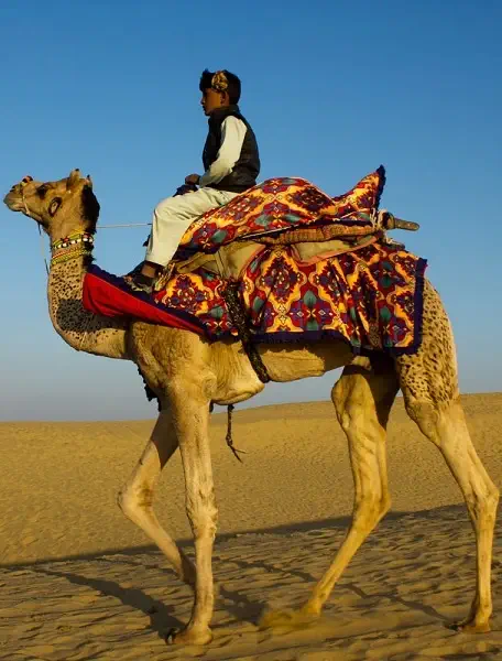 Jaisalmer desert safari tours